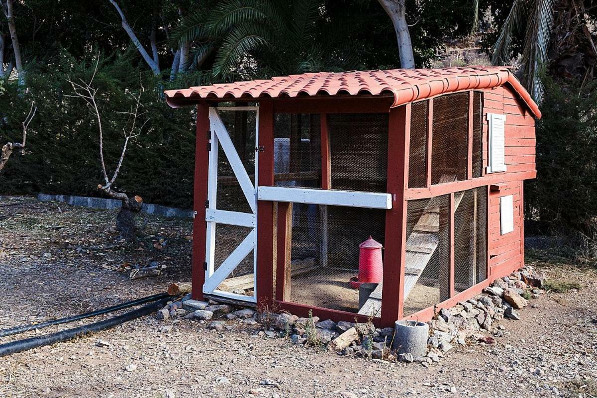 Hostal Time To Experience Salobre  Exterior foto